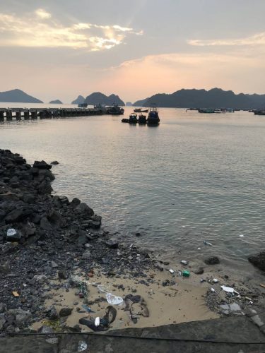 0a529c03-25c4-45b6-85d2-b3309a33aae9