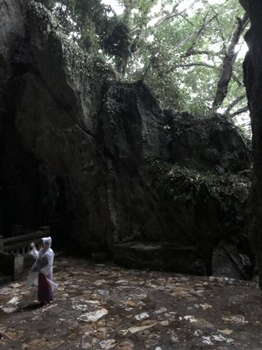 17ad0499-123e-4907-adc7-65732f4d29d9