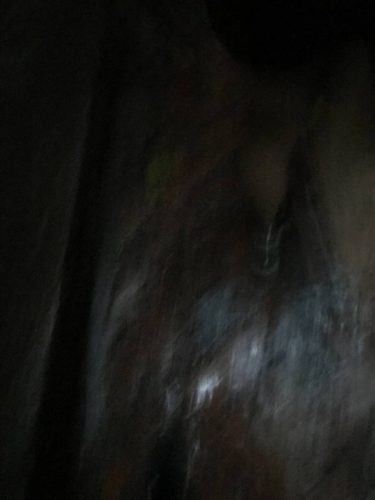 b1151269-5b6a-4cb4-99d8-a453512345f7