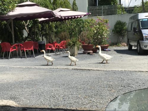 05228a95-3052-470b-a60a-595b57afdae0