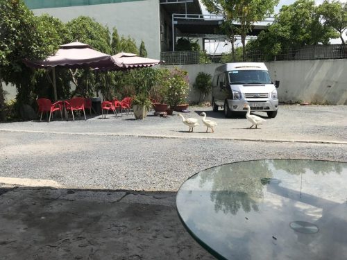 072fb2ef-4fd4-4e0a-91fe-0d2457260d5a