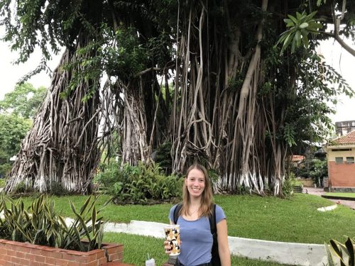 1a66973a-e607-4a6c-bbcf-08be647fdef8