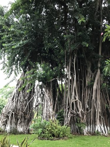 3969c10a-0478-4978-8fc2-e604aee01c40