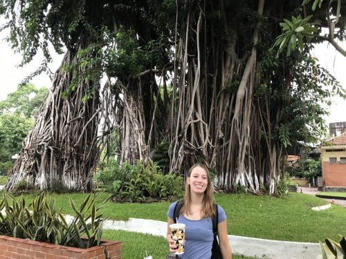 5324da0d-5635-41de-a63c-e84d04c9e13a