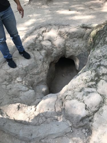 7f81f381-0a2f-4012-9ffc-c763a6cddb34