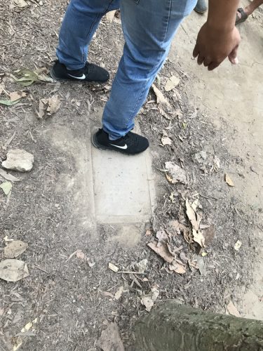 864c9498-73e3-412e-8683-2d563dddda52