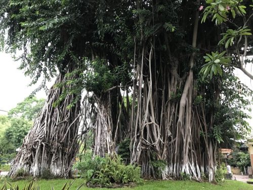 fec1b45f-feae-4da8-b203-97bfdeabebfd