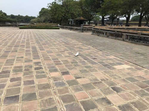 ab685e32-e2f4-4f28-910f-dca3f2c8947c