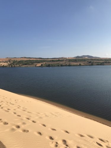 1f485597-7e02-491d-a3fe-8ba9babedab2