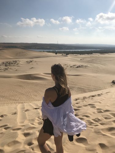 2d43dd18-42a6-4a46-9852-8f3066c17efd