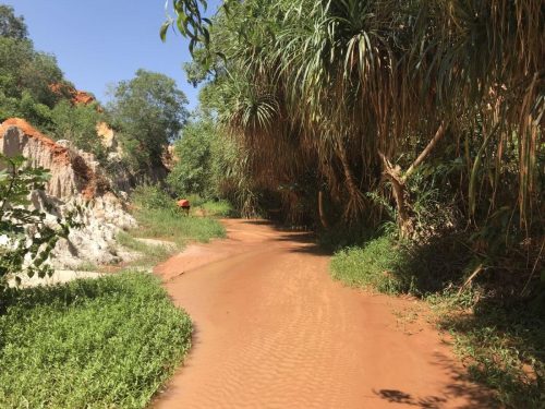 5d6d4c33-f956-4a3f-8ed8-29b17232feb6