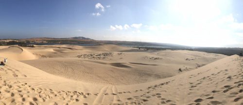 bc86ed2f-37b0-4568-9c4c-740c73059c37