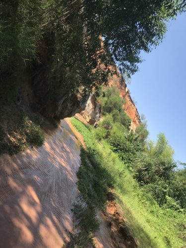 d014d04f-f34c-485c-8bbf-2b2ea36dbf51