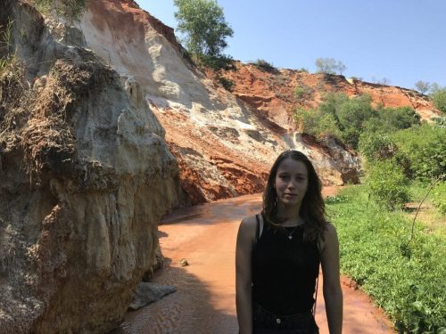 d917368c-c680-4c92-818d-28a1e8fab671