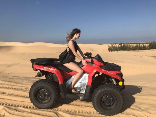 f903177e-37f8-42a4-a5e1-24d24f04cba1